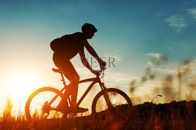田地,互联网,山地自行车运动,摩托车越野赛,骑自行车